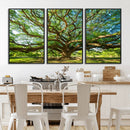 Majestic Oak Tree Wall Art – Serene Nature Canvas Print with