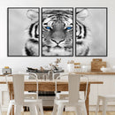 Black and White Tiger Wall Art Animal Canvas Print