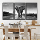 Black and White Elephant Wall Art Canvas Print