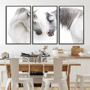 White Horse Wall Art Animal Canvas Print by MyGreatCanvas | Canvas Wall Art Prints | Photo Prints & Wall Decor