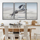 Prancing Horse Desert Large Wall Art Canvas Print – Majestic