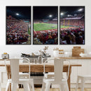Mississippi State Bulldogs Stadium Wall Art Canvas Print –