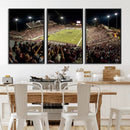 Washington-Grizzly Stadium Canvas Print, American Football