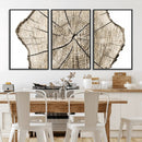 Abstract Wood Tree Ring Wall Art - Ready to Hang Minimalist
