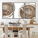 Wood Tree Ring Wall Art Canvas Prints, Tree Rings –