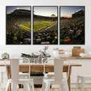 Oregon Stadium Canvas Wall Art - Captivating Game Day Scene
