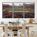 Wisconsin Badgers Team Print Canvas - Madison Camp Randall