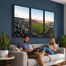 Boca Juniors Soccer Team Print - Buenos Aires Bombonera