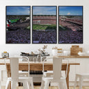 South Carolina Gamecocks Football Team Print - Columbia