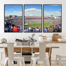 Buffalo Bills NFL Football Team Print - Buffalo Highmark
