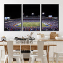 Buffalo Bills Wall Art - Buffalo Bills Stadium Canvas Print,