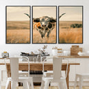 Texas Cow Longhorn Wall Art Canvas Print for Farm House Wall