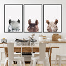 Horse Wall Art - Minimalist Horse Triptych Wall Art – Modern by MyGreatCanvas | Canvas Wall Art Prints | Photo Prints & Wall Decor