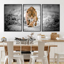 Jaguar Wall Art Canvas Print - Majestic Big Cat in Focused by MyGreatCanvas | Canvas Wall Art Prints | Photo Prints & Wall Decor