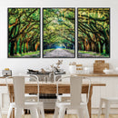 Serene Tree Tunnel Wall Art Canvas Print – Pathway Under by MyGreatCanvas | Canvas Wall Art Prints | Photo Prints & Wall Decor