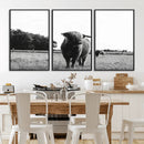 Black and White Highland Cow Wall Art Canvas Print | Rustic