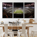Eagles Field Stadium Wall Art - Philadelphia Eagles Football
