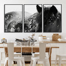 Black Horse in Snow Canvas Print | Winter Horse Wall Art |