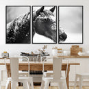 Horse Canvas Print - Winter Horse Snow Wall Art Canvas Print