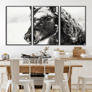 Framed Black and White Horse Wall Art | Ready to Hang and by MyGreatCanvas | Canvas Wall Art Prints | Photo Prints & Wall Decor