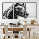 Winter Horse Canvas Print | Large 3-Panel Black White Equine