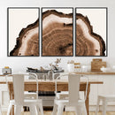 Rustic Wood Rings Wall Art | Nature-Inspired Tree Ring