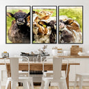Curious Cows Farmhouse Wall Art | Ready to Hang and Framed