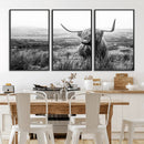 Scottish Highland Cow Wall Art | Black and White Canvas