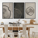 Modern Abstract Tree Ring Canvas Art Set | 3 Panel Large
