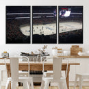 Honda Center California Anaheim Ducks Hockey Stadium Wall