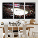 PNC Arena Raleigh North Carolina Hurricanes Hockey Stadium