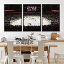 T Mobile Arena Paradise Nevada Vegas Golden Knights Ice