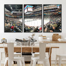 Xcel Energy Center St Paul Minnesota Wild Ice Hockey Stadium
