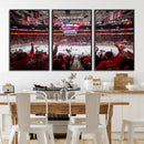 Carolina Hurricanes Ice Hockey Stadium Wall Art, Carolina