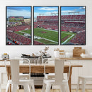 Florida Tampa Raymond James Stadium Wall Art Canvas Print -
