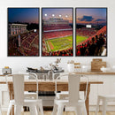 NC State Wolfpack Football Team Print - Raleigh