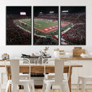 Houston Cougars Football Team Print - Houston TDECU Stadium