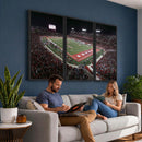 Houston Cougars Football Team Print - Houston TDECU Stadium