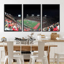 Houston Cougars Football Team Print - Houston TDECU Stadium