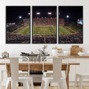 Demon Deacons Print Canvas, Football Team Print - by MyGreatCanvas | Canvas Wall Art Prints | Photo Prints & Wall Decor