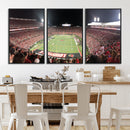 University of Louisville Cardinals Football Team Print -