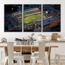 University of North Texas Mean Green Football Artwork, by MyGreatCanvas | Canvas Wall Art Prints | Photo Prints & Wall Decor
