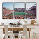 Framed Texas Memorial Stadium Canvas, University of Texas