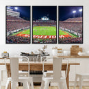 Wolfpack Football Team Print - Raleigh Carter-Finley Stadium