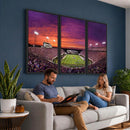 East Carolina University Pirates Football Print Canvas-