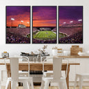 East Carolina University Pirates Football Print Canvas-