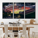 University of Illinois Fighting Illini Football Team Print -