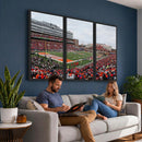 University of Illinois Fighting Illini Football Team Print -