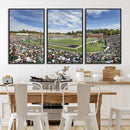 University of Charlotte 49ers Football Team Print - by MyGreatCanvas | Canvas Wall Art Prints | Photo Prints & Wall Decor