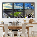 Framed USF Bulls Football Team Print - Tampa Raymond James by MyGreatCanvas | Canvas Wall Art Prints | Photo Prints & Wall Decor
